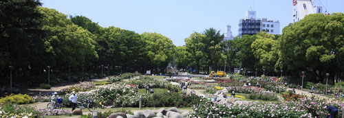 大阪市西区の景観
